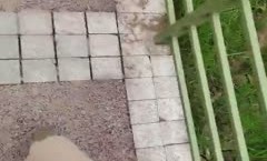 迷情骚.货户外坐在地上AV棒刺激骚逼调情，公测内开始耍流氓了，站着尿尿草逼，楼梯安全出口门前后入刺激