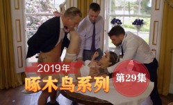 辦公室潛規則 啄木鸟19年系列-第29集