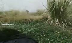 “我草泥马你快点这么骚”对白粗口淫.荡白嫩美少.妇与老公粗鲁变态兄弟偸情驱车跑到野外打地铺啪pa啪内/射