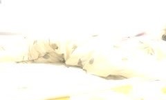 颜值不错大.奶妹mei子新片上市！【香蕉妹mei妹mei】道具自.慰性.感网袜，舔tian假屌跳.蛋塞入拉扯非常诱人，很是诱惑喜欢不要错过