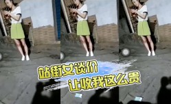 站街女谈价让你收我这么贵让你收我这么贵哈哈哈