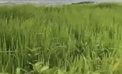新片上市！【百度云泄密】多位反差女友被曝光❤️20位位良家美.女出镜(12)