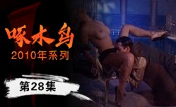 私下調教全過程啄木鸟10年系列-第28集