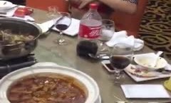 高gao颜值奶韵味少.妇，奶发骚，餐馆里喷奶在杯子里，这也是一个虎娘们，母爱泛滥，见人就喂奶！