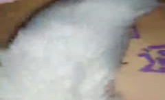 双马尾萌妹mei子跪着玩弄第三部 屁股上写字肛塞插菊花跳.蛋震动来姨妈了 很是诱惑喜欢不要错过
