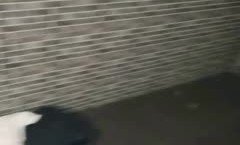 场面过于淫.乱3个刚成年的小美.女和一群小鲜肉群P