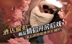 酒jiu店偷.拍极品情侣开房