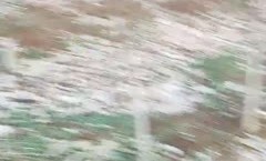 小树林里的龌龊事，老大爷被骚逼勾引活都不干了，尝试了一下什么叫口口，这鸡巴还能硬跟小哥玩起了3.P带劲