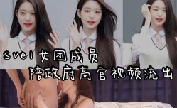 女团黑料韩国演艺圈再爆劲料_Sve1女团成员陪政府高官视频流出妹mei子吃鸡巴吃的一脸不情愿