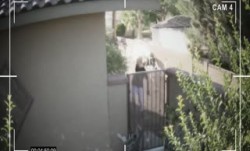 激ji情打手之家第一集-zzs_brazzers_house_ep001a_720p_8000